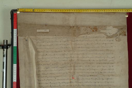 Library of Tibetan Works and Archives (LTWA) ID 3899 (0825_LTWA_17)