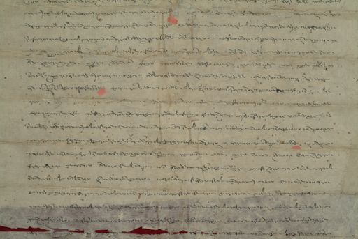 canvas: 0825g_LTWA_17