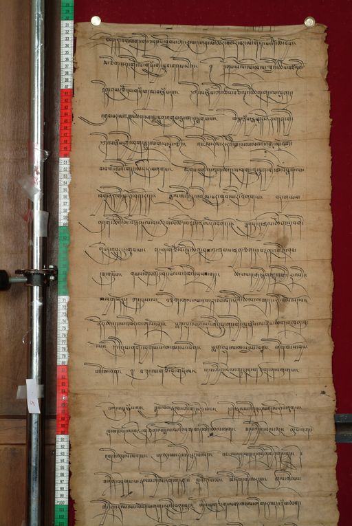 canvas: 0826h_LTWA_18