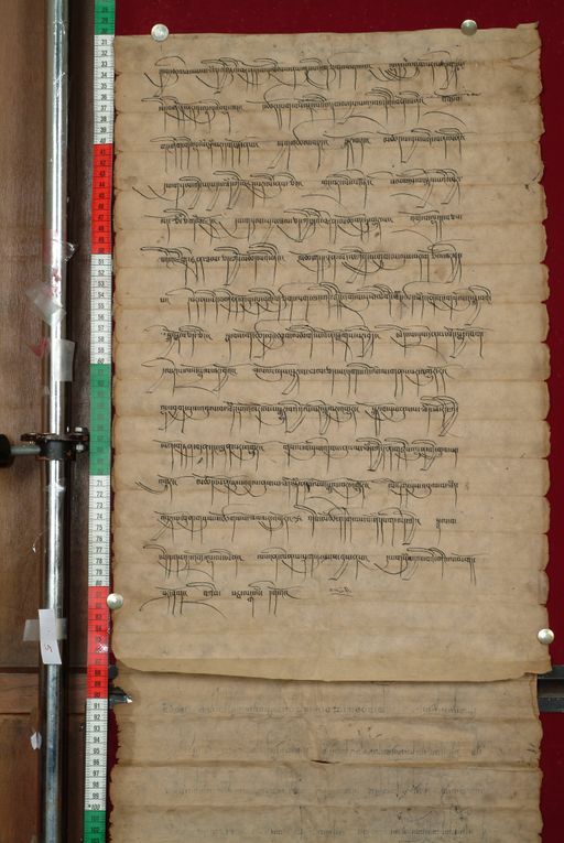 canvas: 0826j_LTWA_18