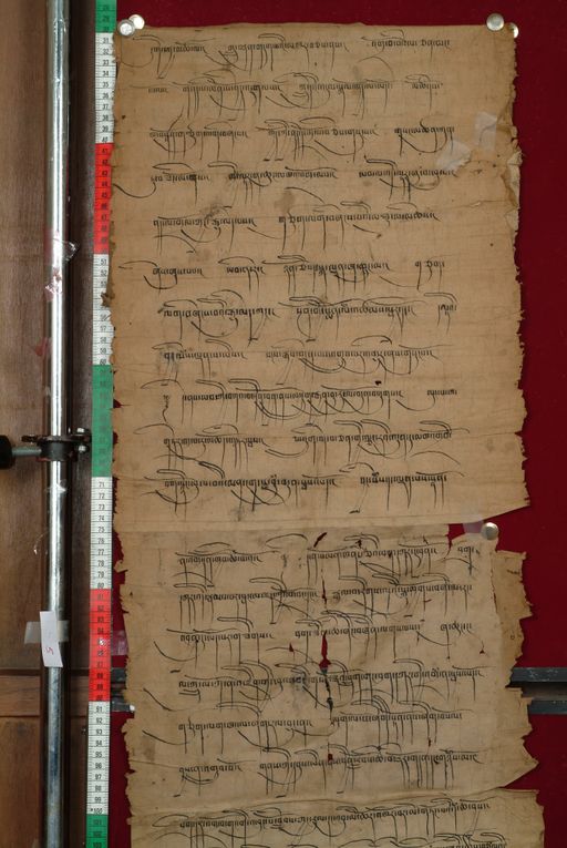 canvas: 0826g_LTWA_18