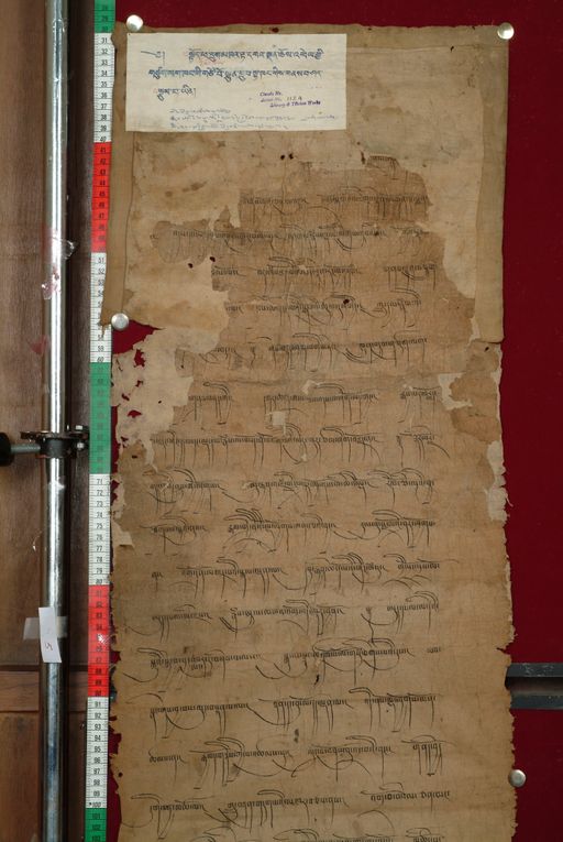 canvas: 0826f_LTWA_18