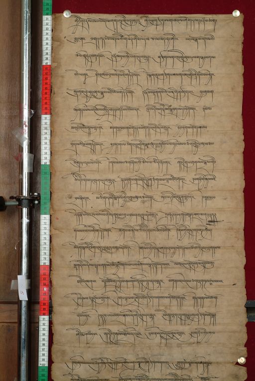 canvas: 0826i_LTWA_18