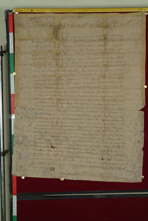 Library of Tibetan Works and Archives (LTWA) ID 3902 (0829_LTWA_21)