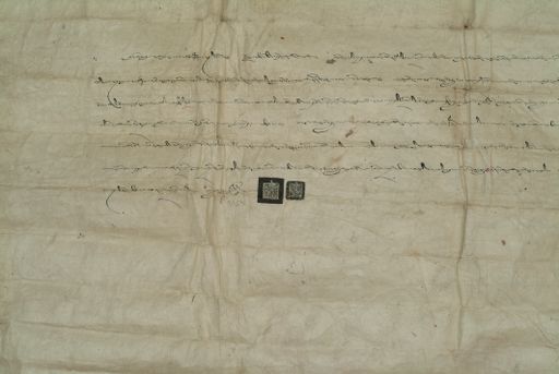 canvas: 0828c_LTWA_20