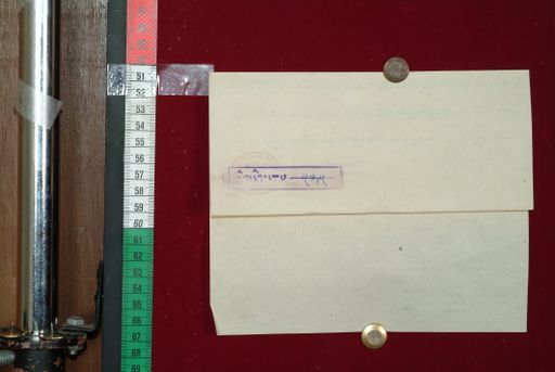 Library of Tibetan Works and Archives (LTWA) ID 3911 (1293_LTWA_535)