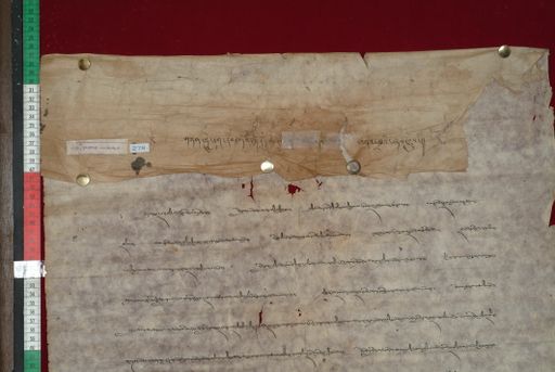 Library of Tibetan Works and Archives (LTWA) ID 3918 (1389_LTWA_631)