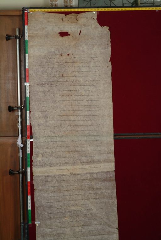 canvas: 1389c_LTWA_631