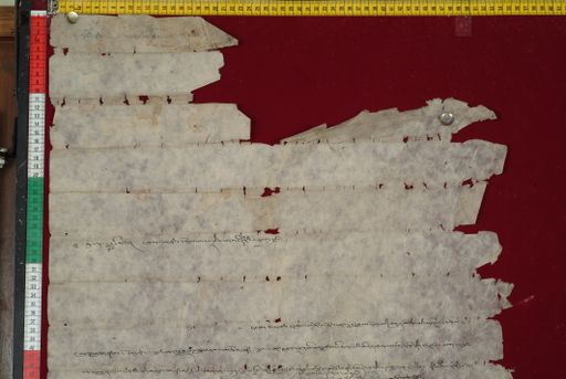 canvas: 1388c_LTWA_630