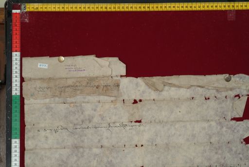 Library of Tibetan Works and Archives (LTWA) ID 3919 (1388_LTWA_630)