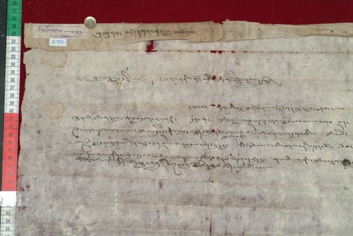 Library of Tibetan Works and Archives (LTWA) ID 3922 (1381_LTWA_623)