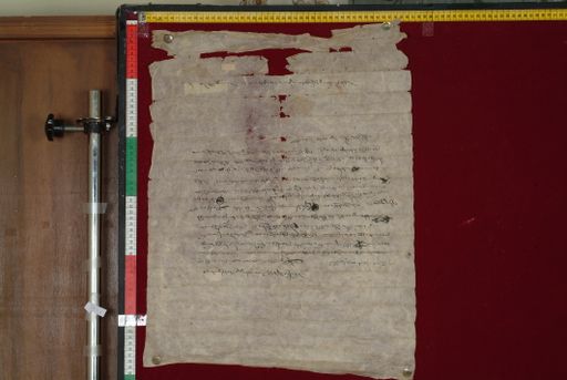 canvas: 1385c_LTWA_627