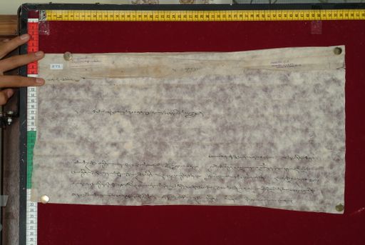 Library of Tibetan Works and Archives (LTWA) ID 3924 (1382_LTWA_624)