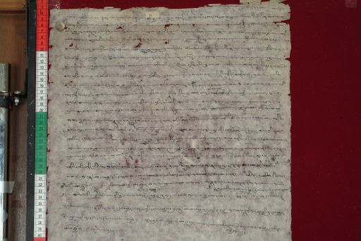 canvas: 1383c_LTWA_625