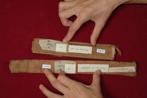 canvas: 0956c_LTWA_168