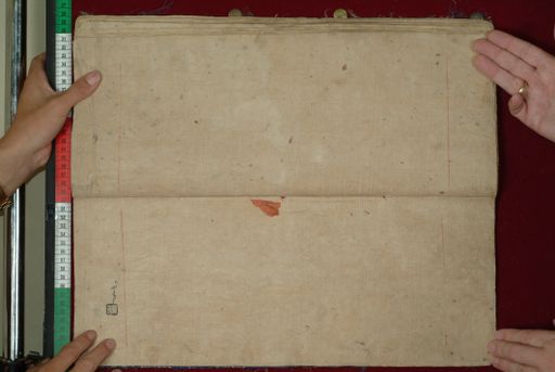 canvas: 1097bz_LTWA_308