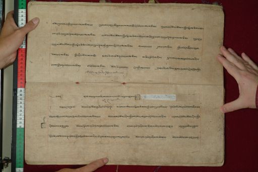 canvas: 1097aj_LTWA_308