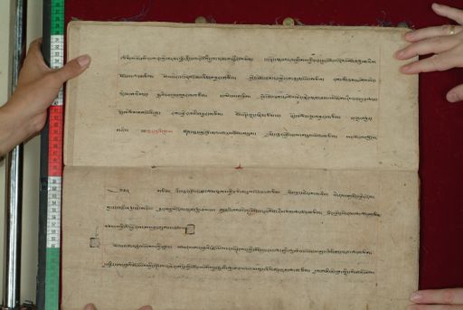 canvas: 1097ap_LTWA_308