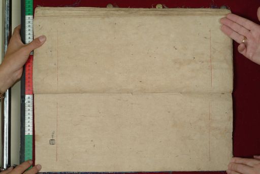 canvas: 1097cg_LTWA_308