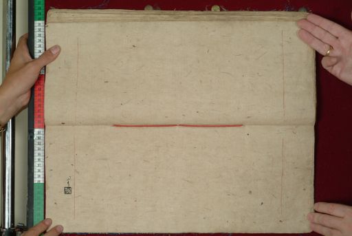 canvas: 1097cb_LTWA_308