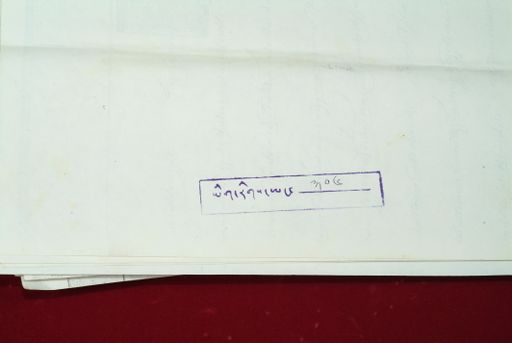 Library of Tibetan Works and Archives (LTWA) ID 3938 (1095_LTWA_306)