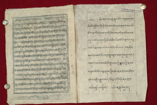 canvas: 0971l_LTWA_183