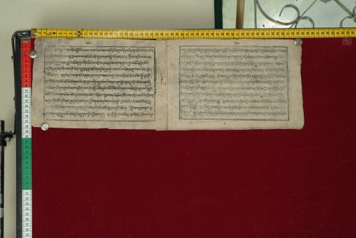 canvas: 0972c_LTWA_184