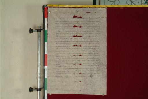 canvas: 0973b_LTWA_185