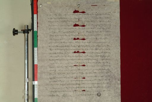 canvas: 0973c_LTWA_185