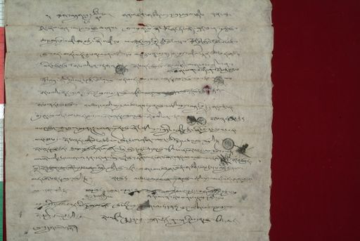 canvas: 1351c_LTWA_593