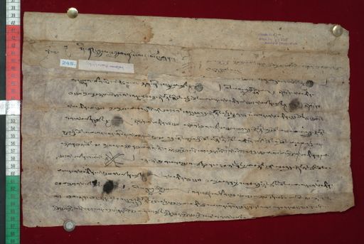 Library of Tibetan Works and Archives (LTWA) ID 3960 (1356_LTWA_598)