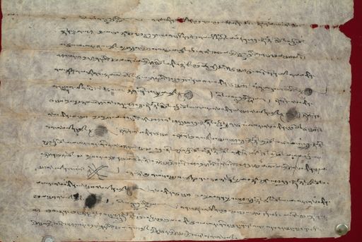 canvas: 1356c_LTWA_598