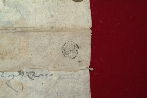 canvas: 1354e_LTWA_596