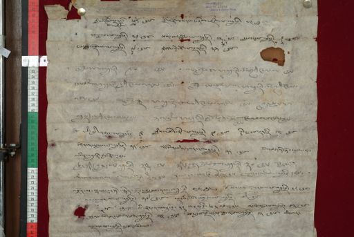 canvas: 1354c_LTWA_596