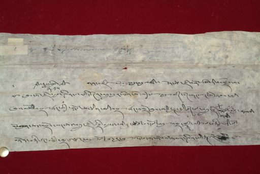 canvas: 1353c_LTWA_595