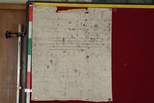 canvas: 1355c_LTWA_597