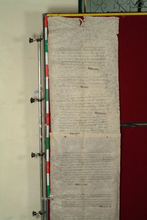 canvas: 1059b_LTWA_270