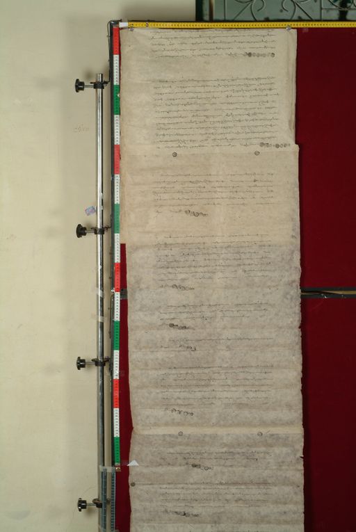 canvas: 1059c_LTWA_270