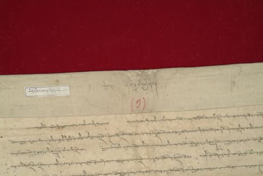 Library of Tibetan Works and Archives (LTWA) ID 3969 (1057_LTWA_268)