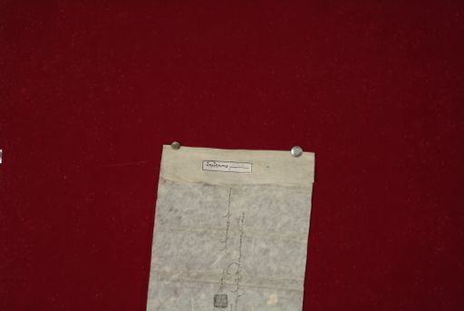 Library of Tibetan Works and Archives (LTWA) ID 3975 (1054_LTWA_265)