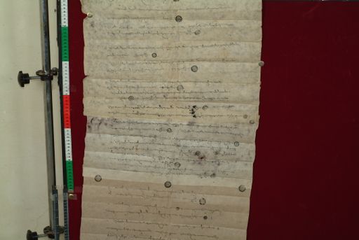 canvas: 0869d_LTWA_48