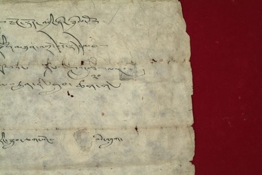 canvas: 0869p_LTWA_48