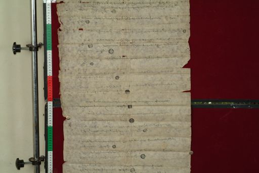 canvas: 0869c_LTWA_48