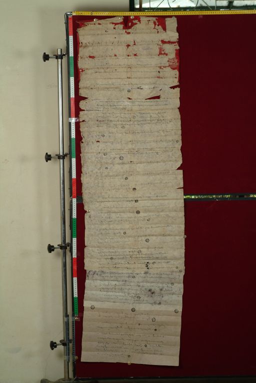 canvas: 0869a_LTWA_48