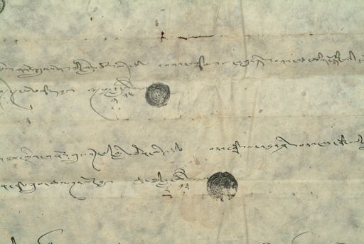 canvas: 0869t_LTWA_48