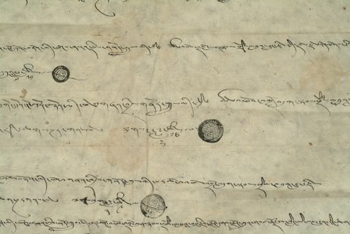 canvas: 0869w_LTWA_48