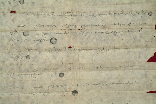 canvas: 0869h_LTWA_48