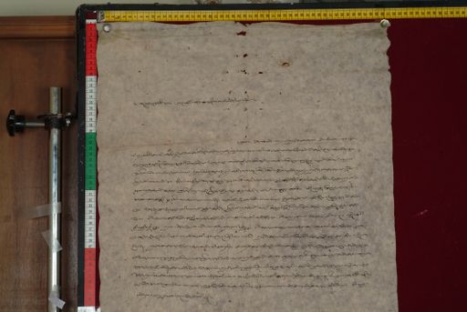 canvas: 1325c_LTWA_567