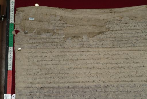 canvas: 1328b_LTWA_570