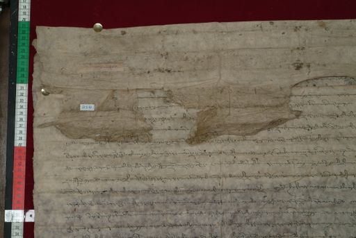 Library of Tibetan Works and Archives (LTWA) ID 3987 (1328_LTWA_570)